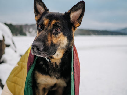 VOITED Pet Blanket monadnock