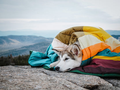 VOITED Pet Blanket monadnock
