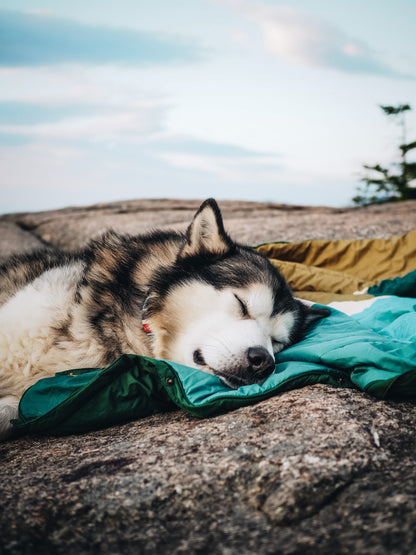 VOITED Pet Blanket monadnock